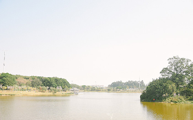 ���պ�����