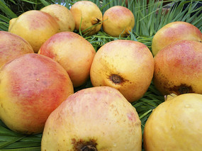 ����ʯ��