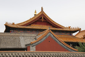 �������������ݼ�