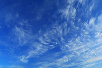 ������Ʒ羰