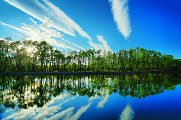  �峺��ˮ�������