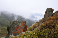 ��Խ���������ں�ʯ������