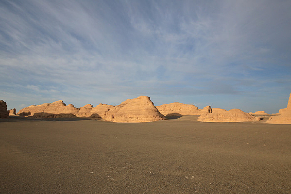 �����µ��ŵ���ò