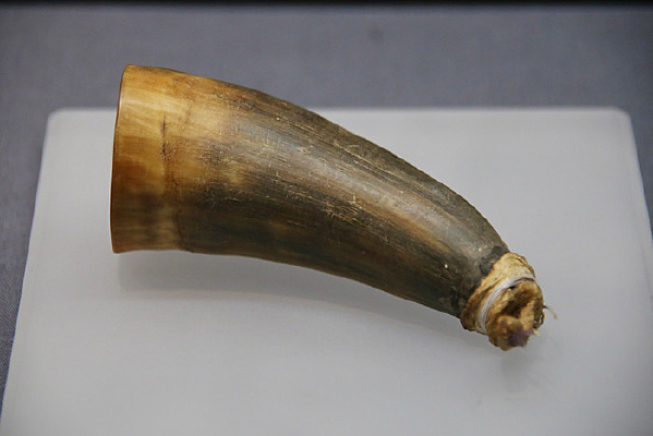 ţ��ι�����