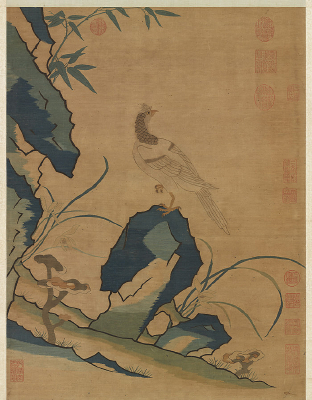 ����˿����