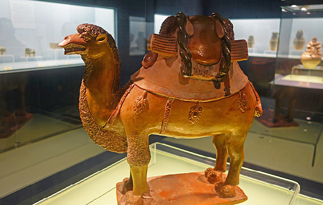 �峯��ɫ�������� 