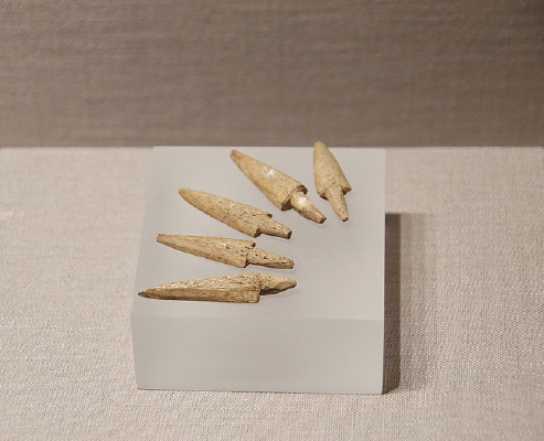 Ԫ������