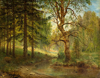 �Ѱ¶���ά���ͻ� -���о�ɫ