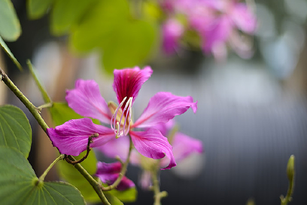 �����Ͼ�����