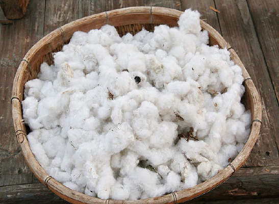 ��������޻�