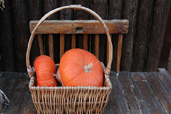 ��������Ϲ�