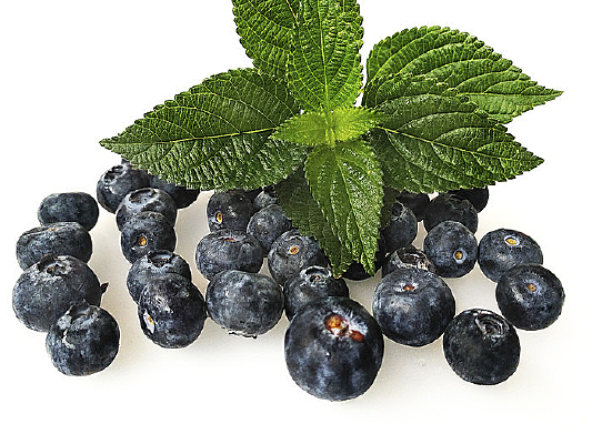 ����������ݮ