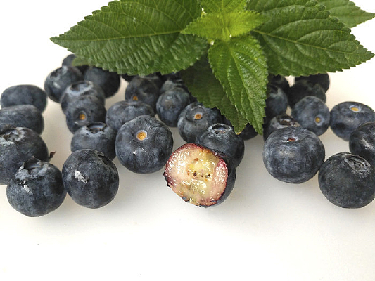 ������ݮ��