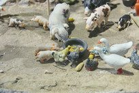 ι��Ѽ����΢������