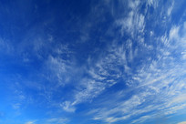 ������Ʒ羰