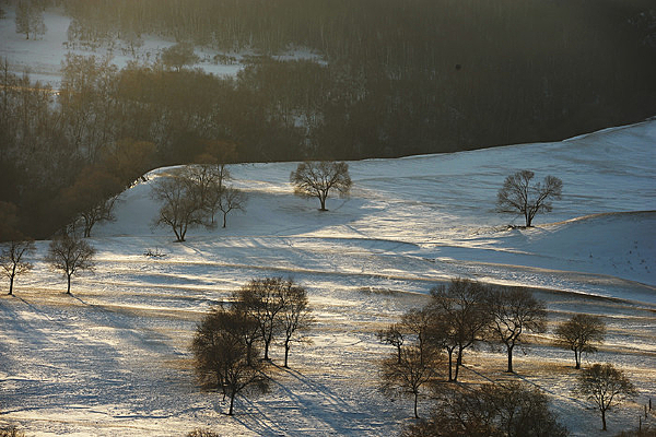 ��Ӱѩ������