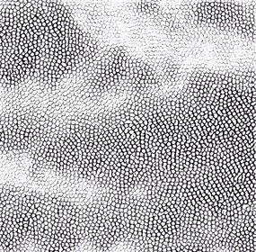 黑白斑点皮革纹理斑点图