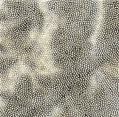 ��ɫ�ߵ�Ƥ��Ƥ���ز�