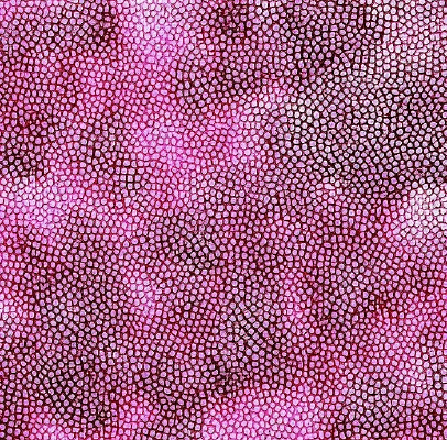 ���ɫƤ�ưߵ�Ƥ���ز�ͼ