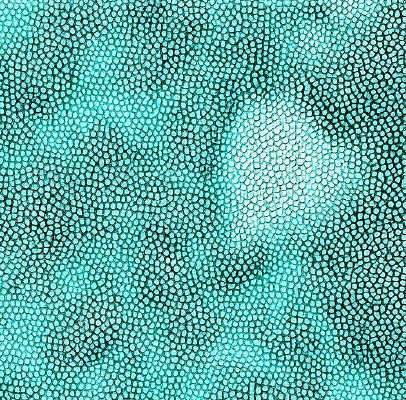 ����ɫƤ��Ƥ���ز�