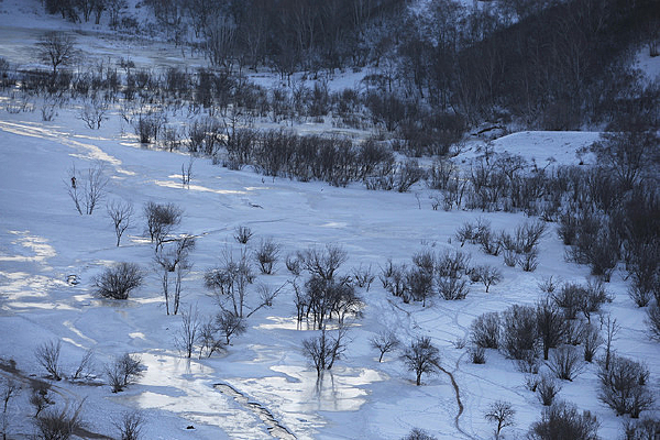 ѩ��СƬ����