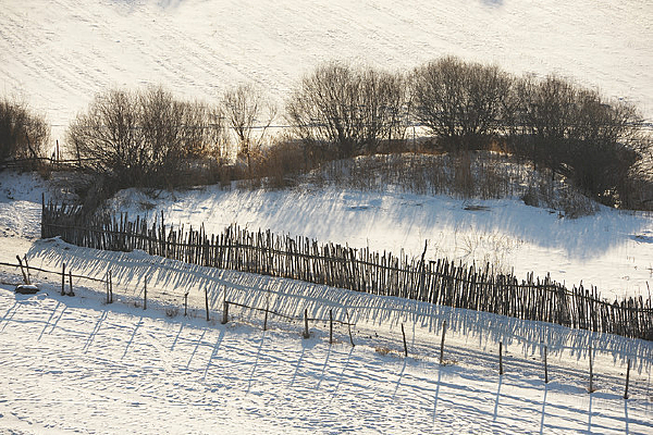 ѩ����Ȧһ��