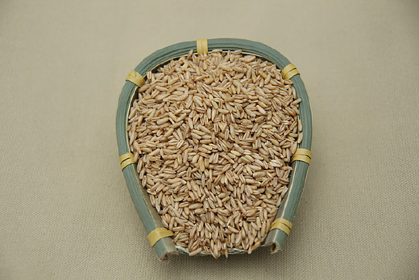 ����װ����