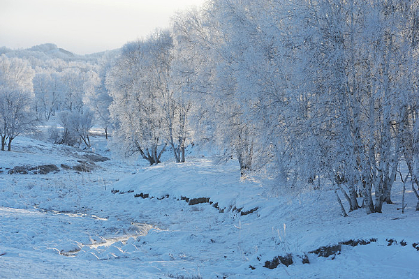 ��ڡ����