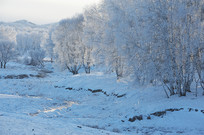 ��ڡ����