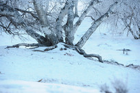 ��ڡ����