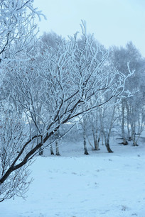 ��ڡ����