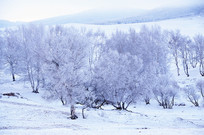 ��ڡ����