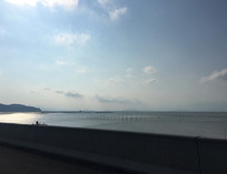 Ϧ���µ����