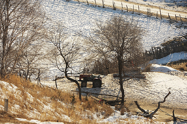 ����ѩ��