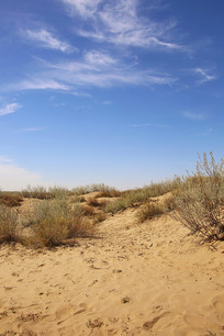 ��������ɳ����