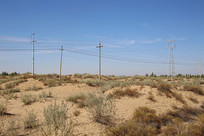 ���̲����ߵ���