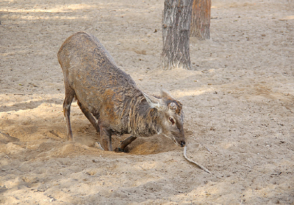 ��¹�ٵ���Ϣ