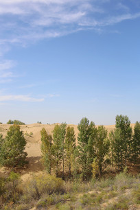 ɳĮ�ֵ�����