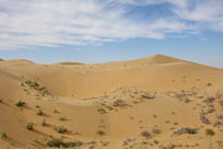 ɳĮ�ֵ�����