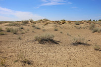 ɳĮ�ֵ�����