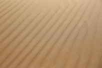 ɳĮ������ɳ����