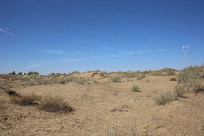 ɳĮֲ��ɳ���ͺ�ֲ��