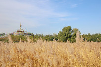 ����«έ��