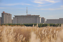 ��ͷ������ǰ����������ԭ