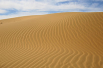 ������ɳĮ����