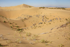 �Ⲽ��ɳĮ�����ɳ