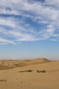 �Ⲽ��ɳĮ�������ɳ��