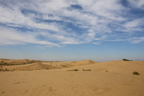 �Ⲽ��ɳĮԶ��