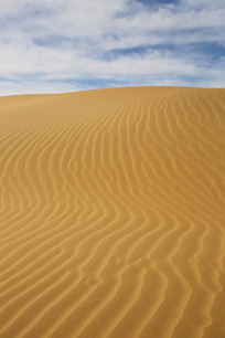 ��������µ�ɳĮɳ������