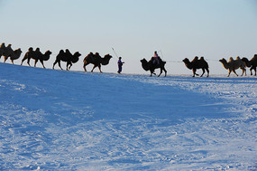 ��֧���ն�